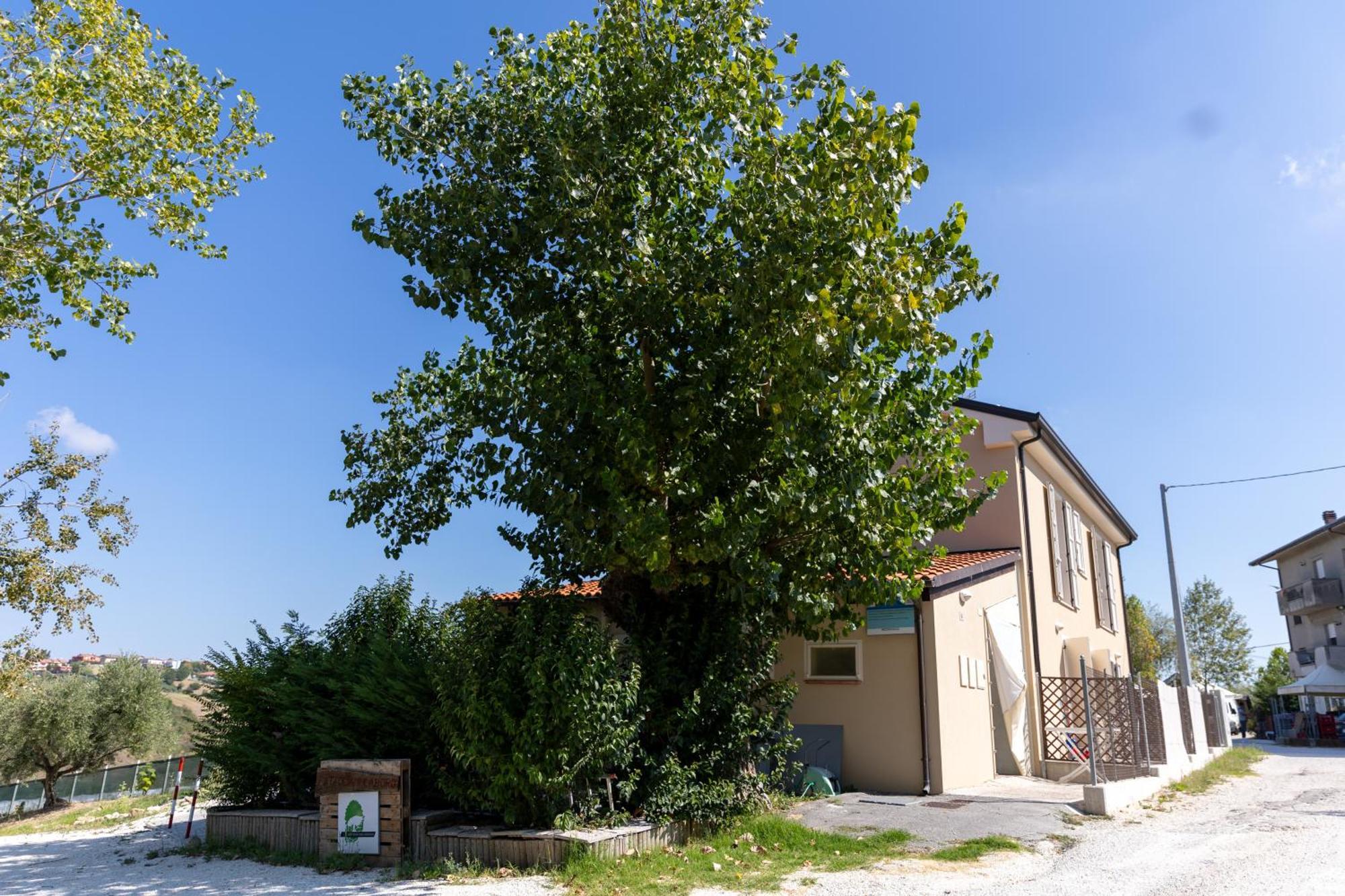 Bio Fattoria Mula D'Oro - Biofattoriamuladoro It - Organic Food, Nature & Relax Mulazzano エクステリア 写真